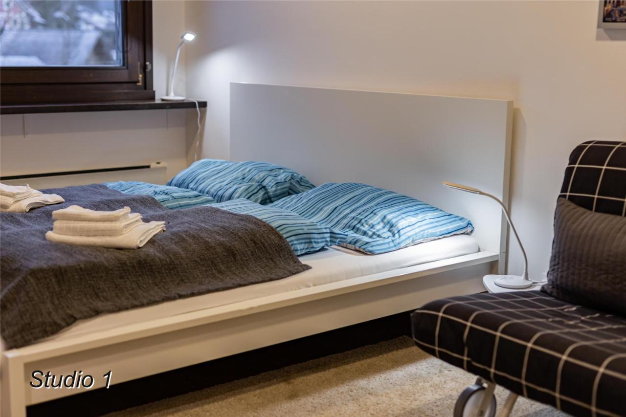 Appartement Sportwerk Göstling an der Ybbs Exteriör bild